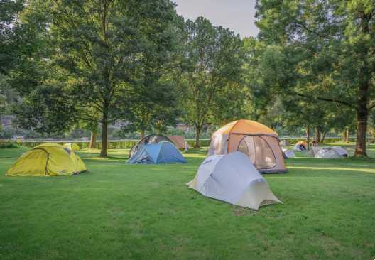 Zelte auf der Zeltwiese im Camping Eichholz.